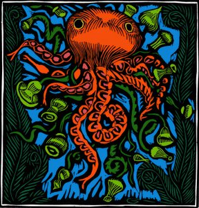 Zoologie / Vie marine / Poulpe - Raoul Dufy