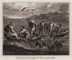 Carton de Raphaël : Pêche miraculeuse, Luc, Chap V (gravure)