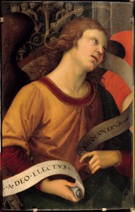 Un ange. Fragment du retable de Baronci. Peinture de Raffaello Sanzio dit Raphaël (1483-1520) - Raphael