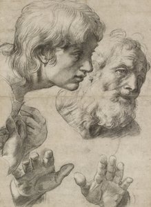 Études des têtes de deux apôtres et de leurs mains - Raphael