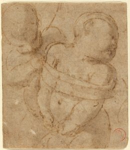 Cupidon Lié - Raphael