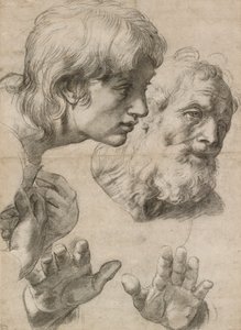 Études des têtes de deux apôtres et de leurs mains, 16e siècle - Raphael