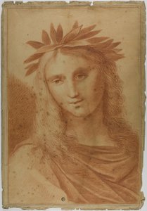 Femme couronnée de laurier - Raphael