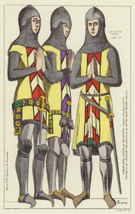 Chevaliers comtes de Neuchâtel - Raphael Jacquemin
