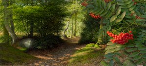 Après-midi de septembre à l