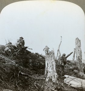 Assaut dans le bois de Trônes, Somme, France, Première Guerre mondiale, 1916