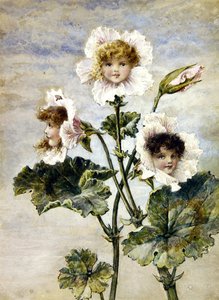 Géranium et pois de senteur - Enfants des fleurs - une paire