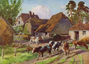 Illustration pour Ma Ferme - Reginald Mills