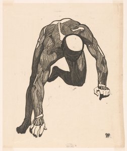 Étude anatomique des muscles du cou, du bras et de la jambe d