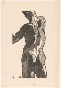 Étude anatomique des muscles du dos et des fesses d