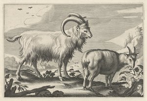 Paysage vallonné avec deux chèvres (Diversa Animalia Quadrupedia) - Reinier van Persijn