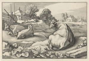 Prairie avec trois vaches couchées (série: Diversa Animalia Quadrupedia) - Reinier van Persijn