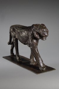 Grand Tigre Royal, vers 1913