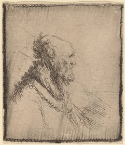 Vieil homme chauve avec une courte barbe de profil