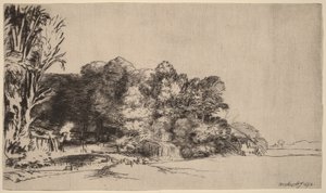 Un bosquet offrant une belle vue - Rembrandt van Rijn
