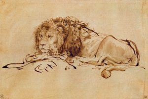 Lion se reposant