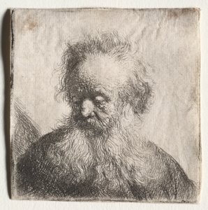 Vieil homme à la barbe flottante : Buste