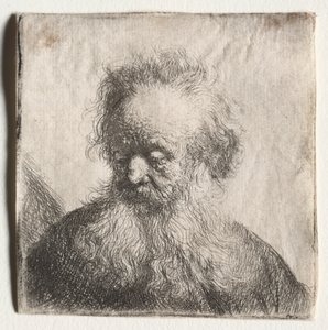 Vieil homme à la barbe flottante : Buste, 1631 - Rembrandt van Rijn