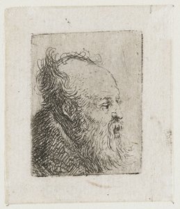 Vieil homme barbu, la bouche entrouverte - Rembrandt van Rijn
