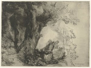 Saint François sous un arbre, priant