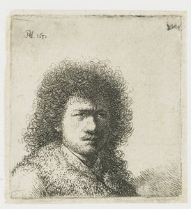 Autoportrait avec cheveux touffus : buste