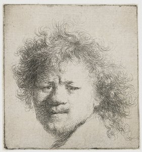 Autoportrait avec cheveux longs et touffus : tête seulement