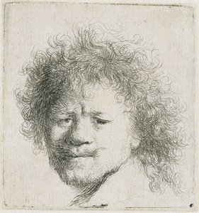 Autoportrait aux cheveux longs et touffus : la tête seule - Rembrandt van Rijn