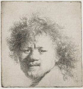 Autoportrait avec cheveux longs et touffus : tête seulement, vers 1631