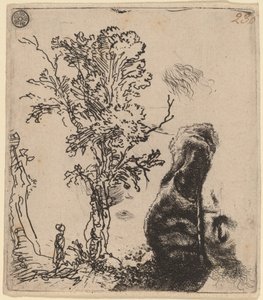 Feuille avec deux études : un arbre et la partie supérieure d
