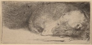 - Rembrandt van Rijn