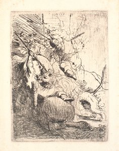 La petite chasse au lion (avec un lion)