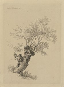 Saule - Remigius Adrianus Haanen