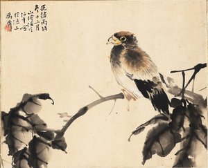 Oiseau sur une branche