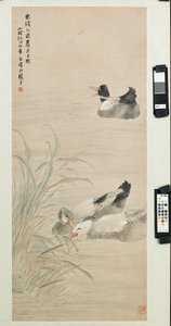 Canards, 1885