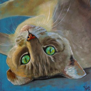 Bonheur de chat - Renate Dohr