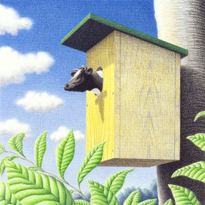 Coucou - Rene Boin