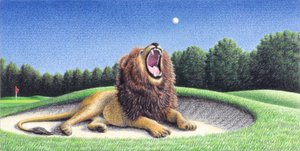 Lion 3