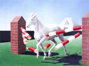 Obstacle - Rene Boin