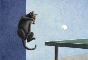 Ping-pong - Rene Boin
