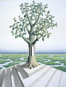 Succulent - Rene Boin