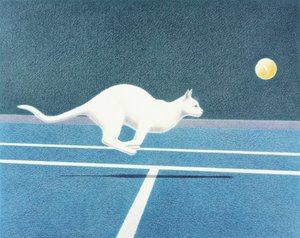 Tennis - Rene Boin