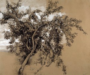 Le pommier au charbon