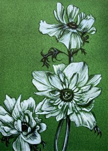 Inquiétantes fleurs vertes