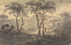Sapin dans un paysage de montagne