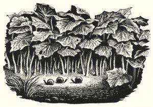 Hans Christian Andersen : La famille heureuse