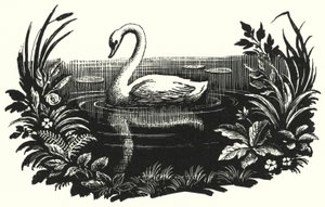 Hans Christian Andersen : Le Vilain Petit Canard - Rex (after) Whistler
