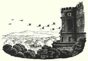 Hans Christian Andersen : Les cygnes sauvages