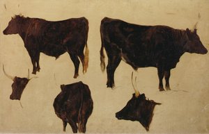 Études de bovins à longues cornes - Richard Ansdell