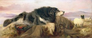 Le Chien du Berger