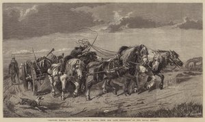 Transport de bois en Picardie - Richard Beavis